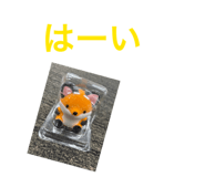 863532569