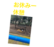 863532571