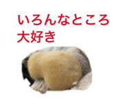 863532576