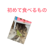 863532578