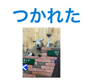 863532581