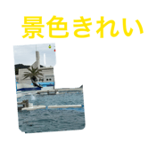 863532582