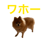 863532584