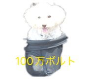 863533677