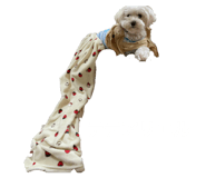 863533704