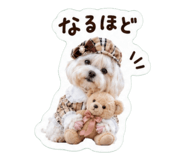 863534096