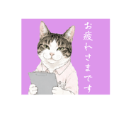863534116