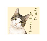 863534126