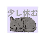 863534145