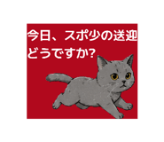 863534150