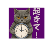 863534152