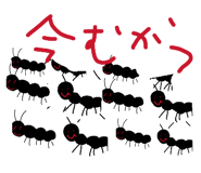 863534214