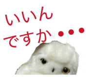 863534319