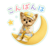 863534485