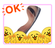 863534892