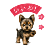 863534937