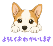 863543748