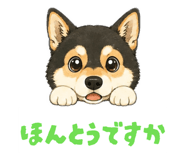 863543761