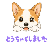 863543764