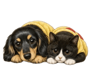 863547055