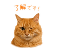 863549172