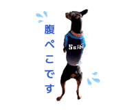 863578785