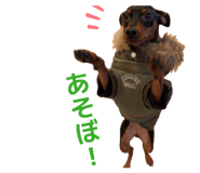 863578791