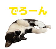 863588774