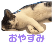 863592812