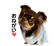 863593862