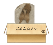 863594599