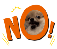 863594600