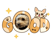 863596924