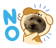 863596998