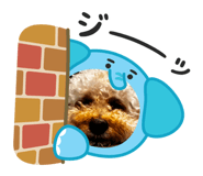 863596999