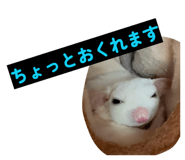 863597581