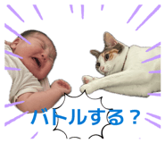 863597611