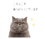 863597741