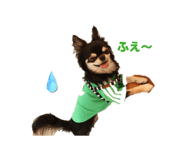 863607818