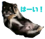 863607824