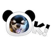 863607833