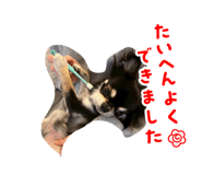 863607837