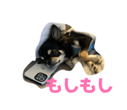863607841
