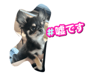 863607845