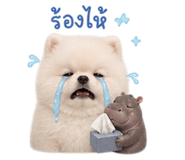 863608524
