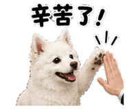 863610152