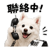 863610156