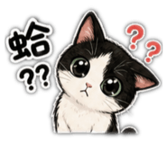 863612321