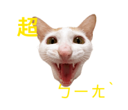 863613148