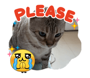 863613770